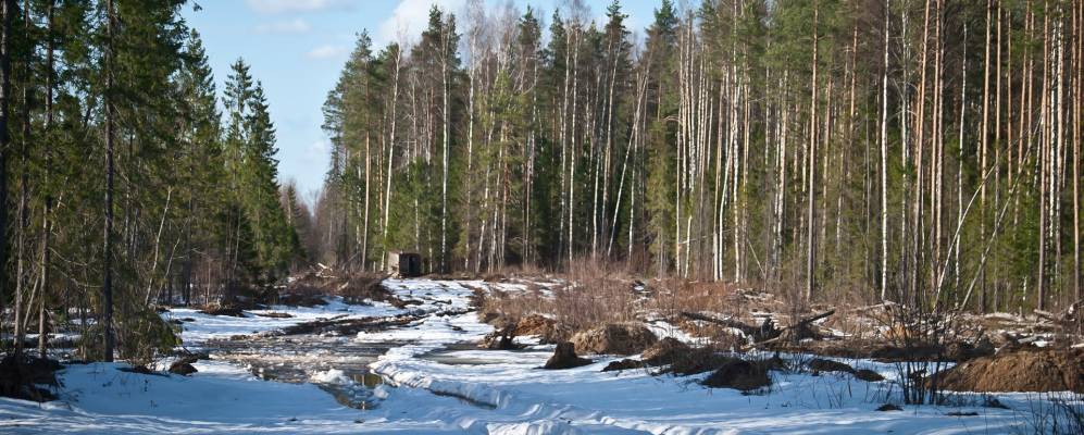 
            Фотография Пузырево
