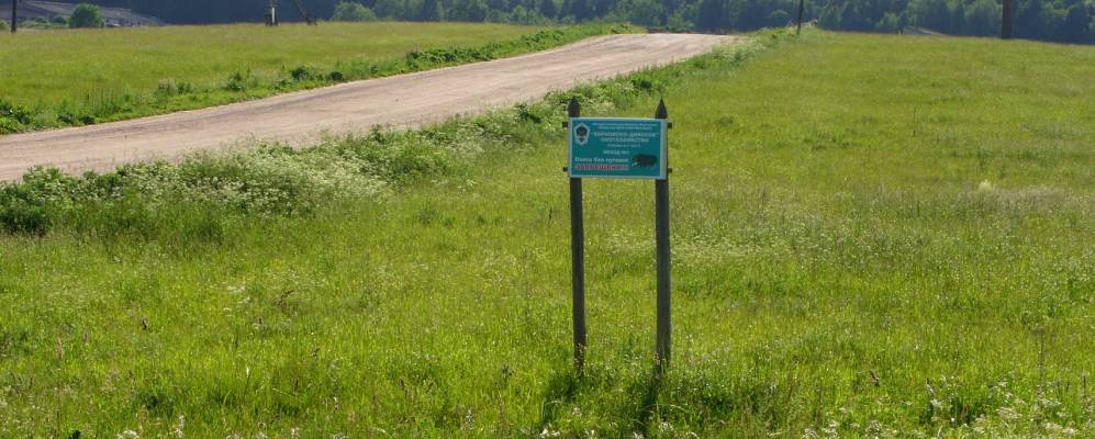 
            Фотография Заборья