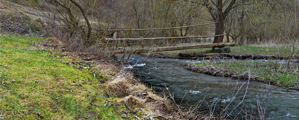 
            Фотография Новоселки