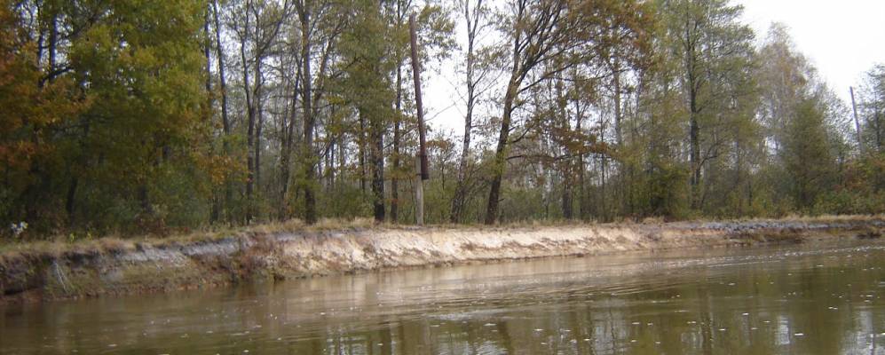 
            Фотография Коника