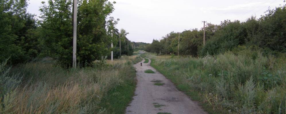 
            Фотография Калиновки