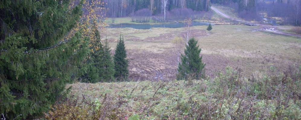 
            Фотография Воскресенцев