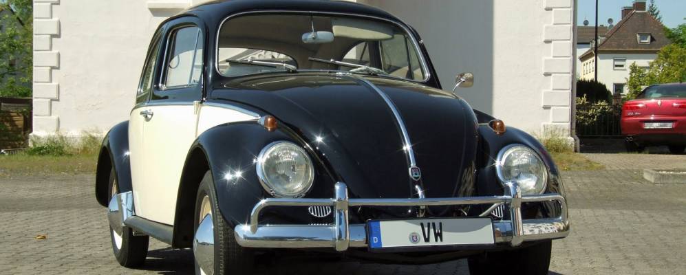 
            Фотография Бебры