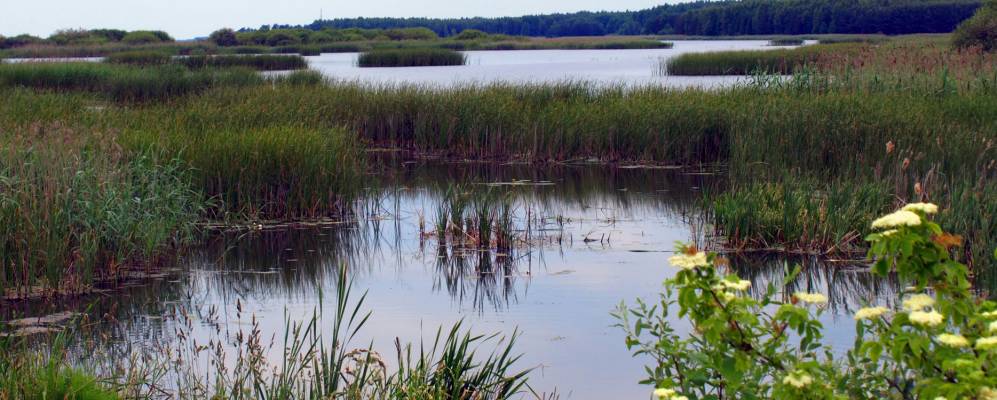 Фотография деревни Ростевичи