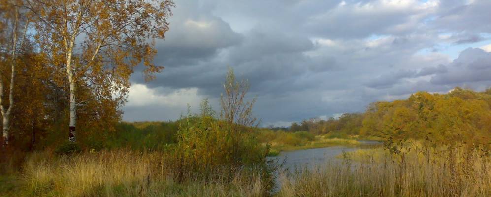 
            Фотография Благовещенского