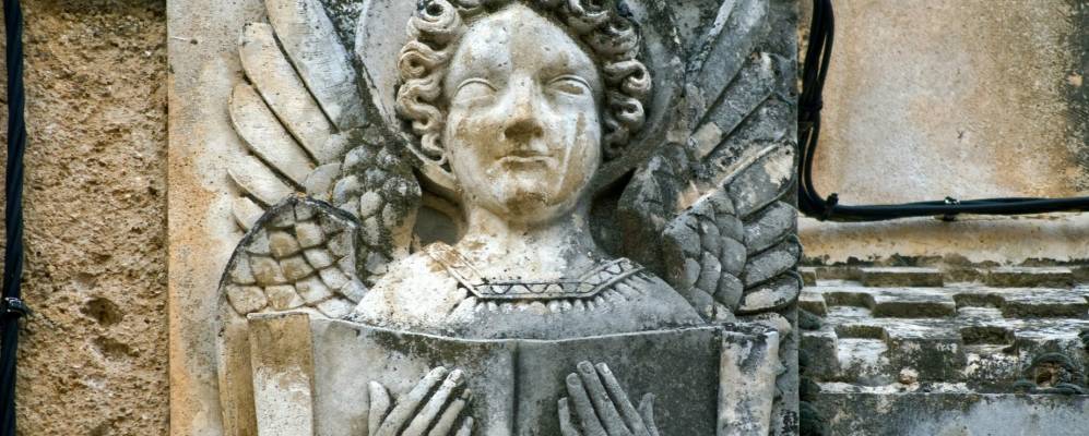 
            Фотография Опа