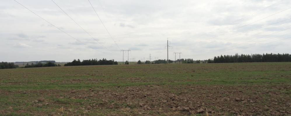 
            Фотография Борозденков