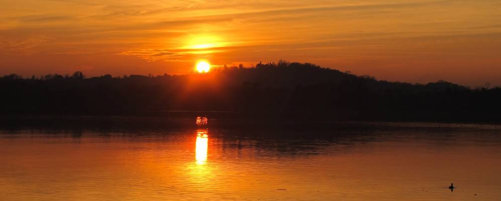 
            Фотография Гавирате