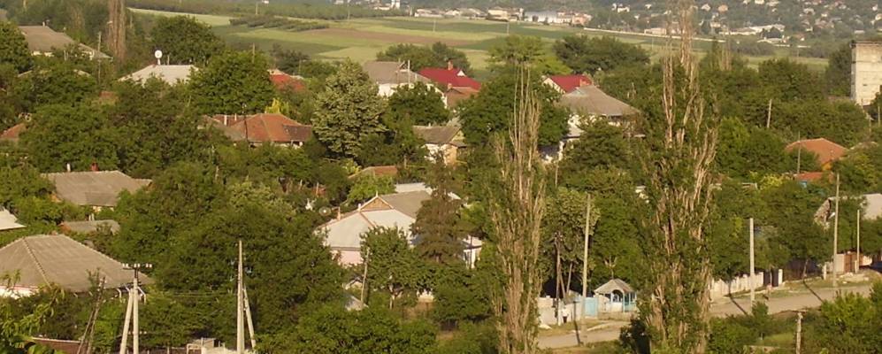 
            Фотография Трушенов