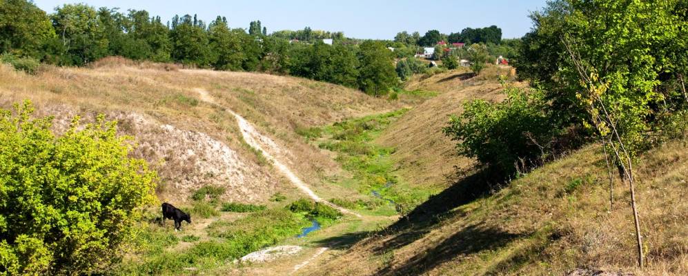 
            Фотография Зализного