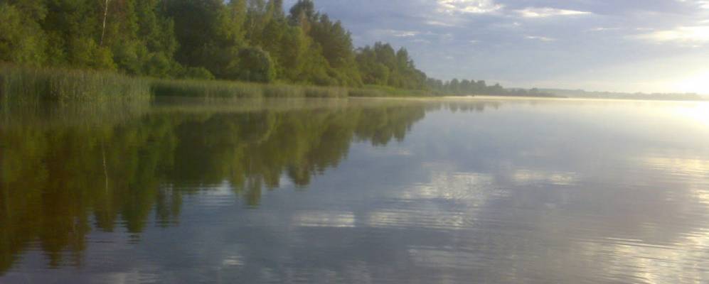 
            Фотография деревни Гаврики