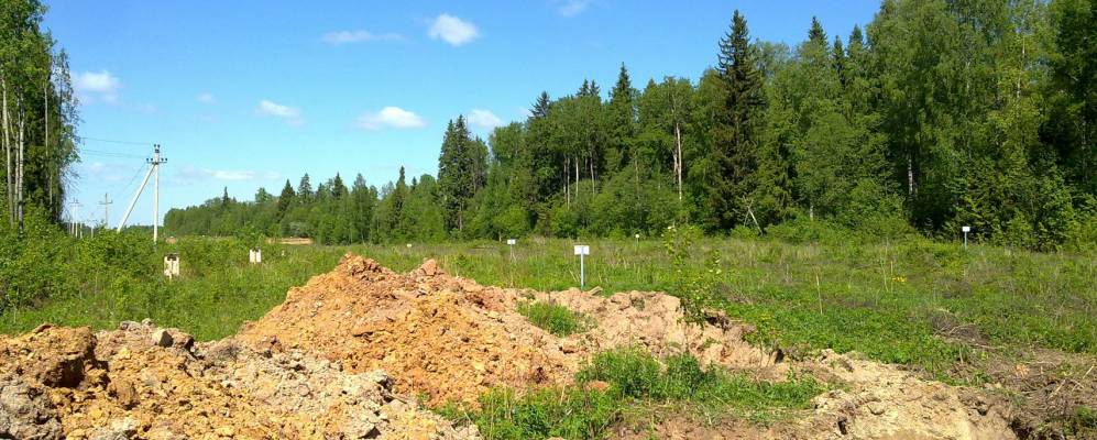 Фотография Борисово