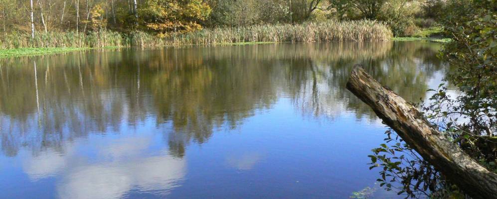 
            Фотография Шевингтона