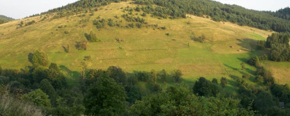 
            Фотография Вицева