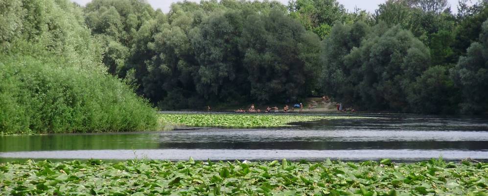 
            Фотография Песков