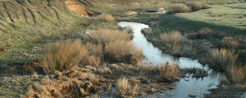 
            Фотография Сеньшина