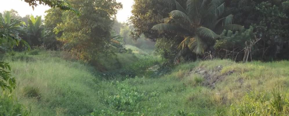 
            Фотография Мадувы