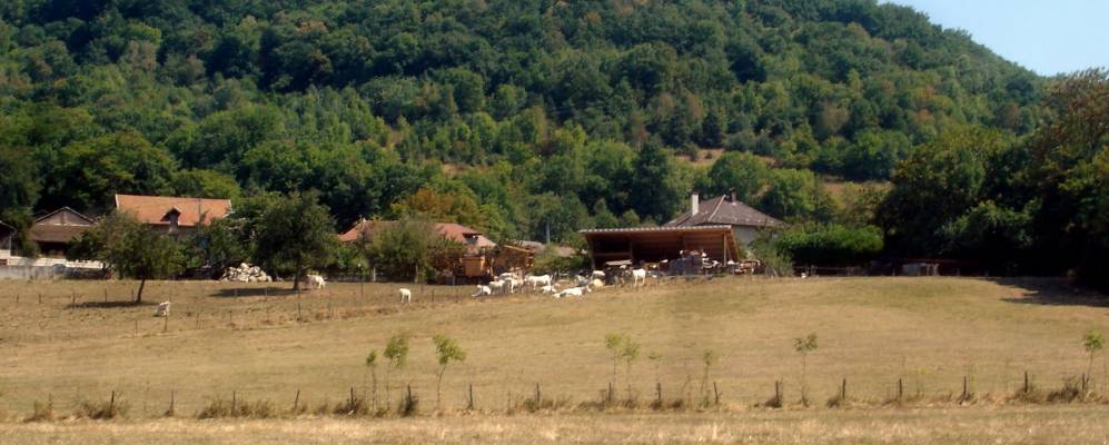 
            Фотография Пуаза