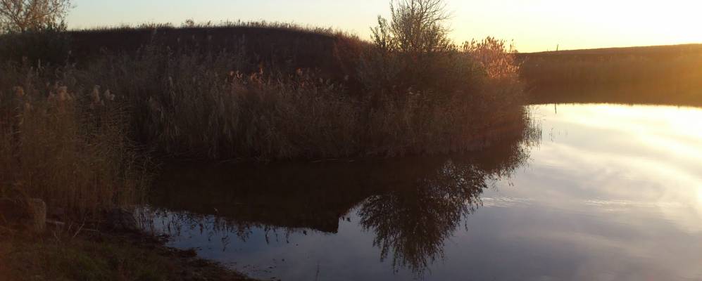 
            Фотография Верхнесеребряковки