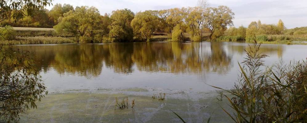 Фотография Курской Ольховатки