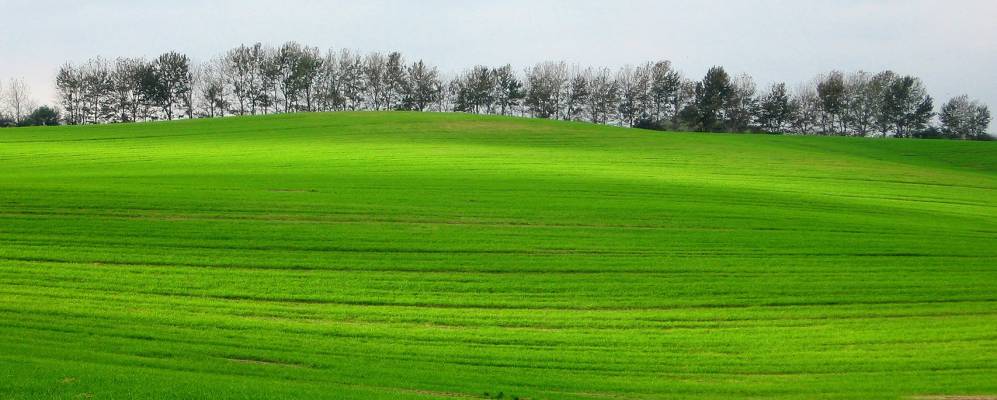 
            Фотография Хоен Вишендорф