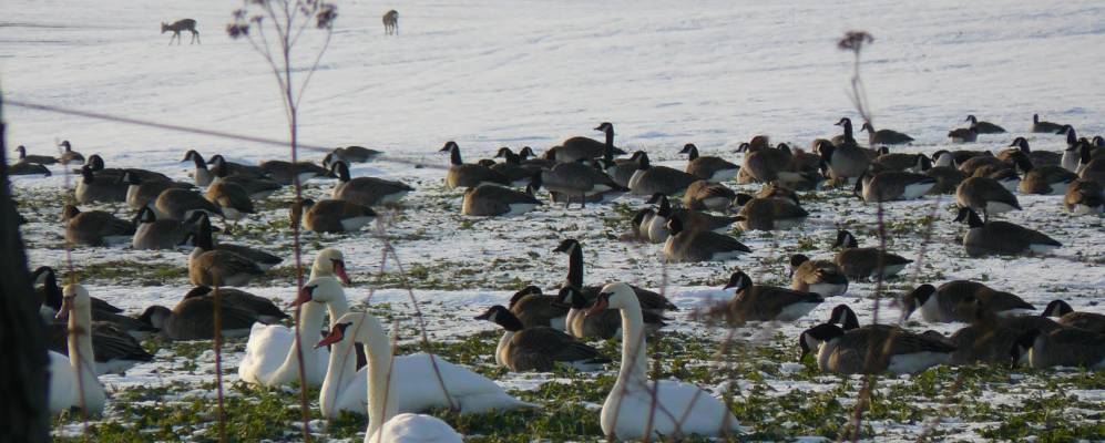 
            Фотография Крамерхофа