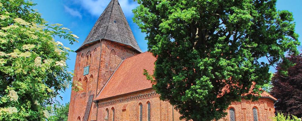 
            Фотография Царпена