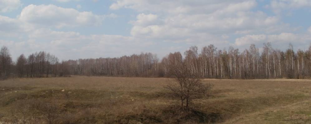 
            Фотография Дачного