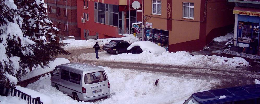 
            Фотография Кумру