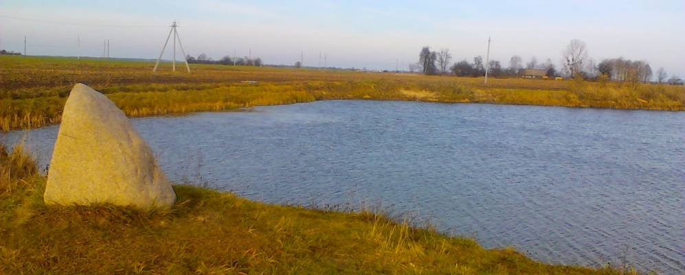 
            Фотография Лесовни