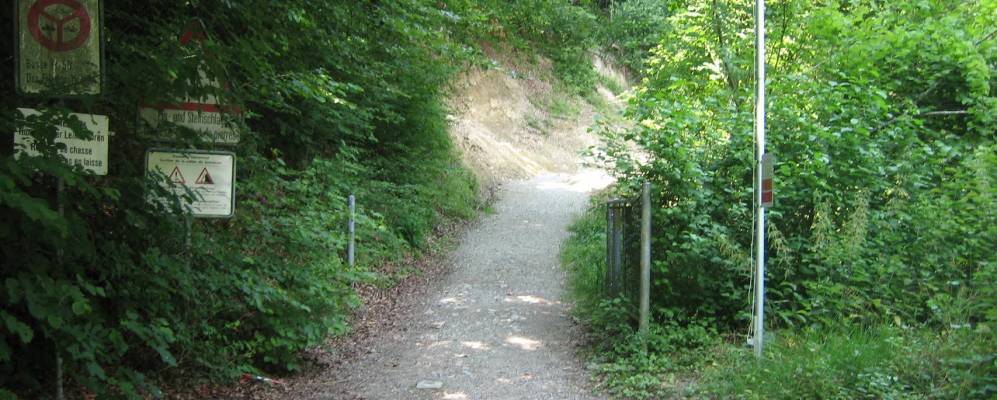 
            Фотография Таферса