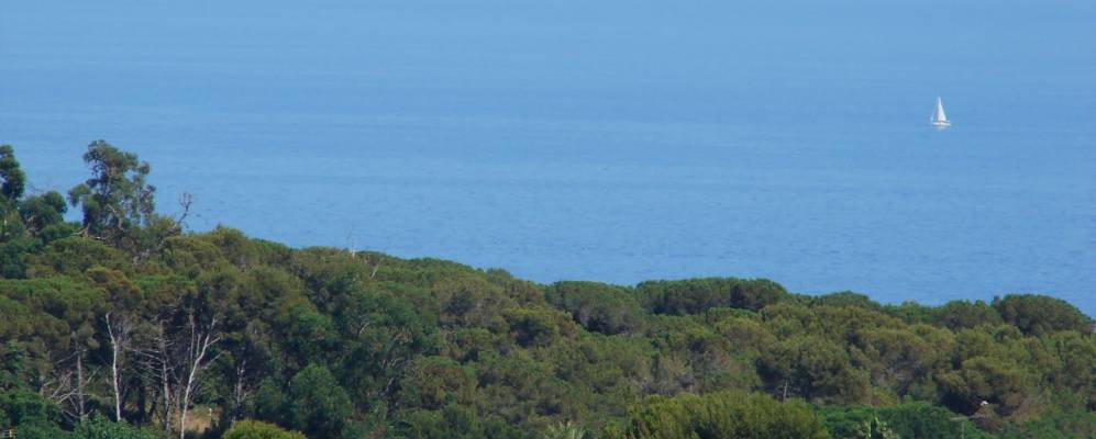 
            Фотография Сан-Андрес-де-Льеванерас