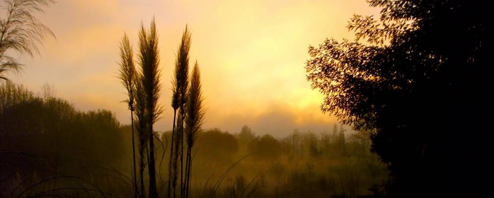 
            Фотография Параньюша