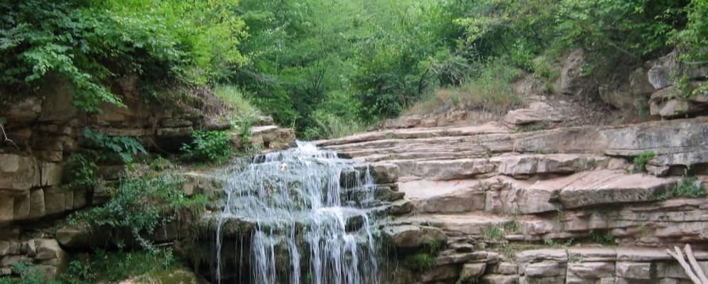 
            Фотография Дардакента