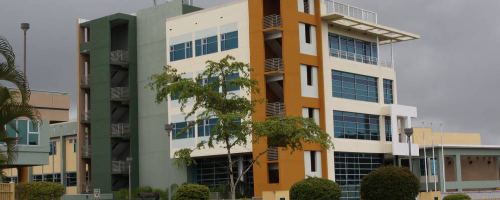 
            Фотография Сидры