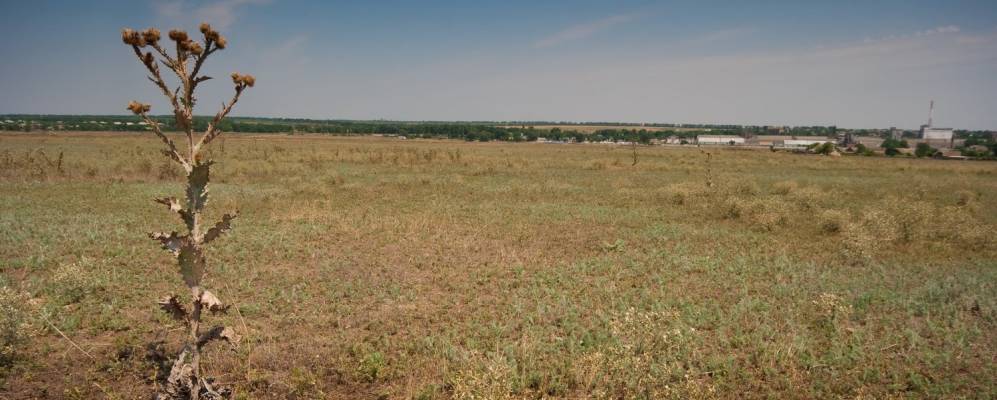 Фотография Великорыбальского