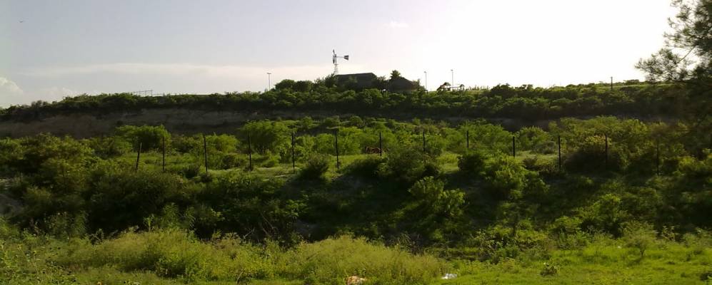 
            Фотография Сьенега де Флореса