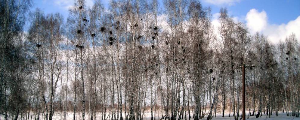 
            Фотография Новошилово