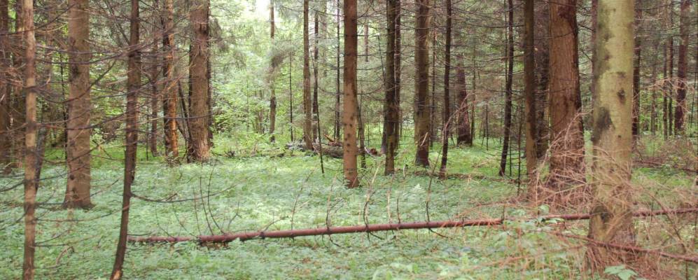 
            Фотография Куртасово