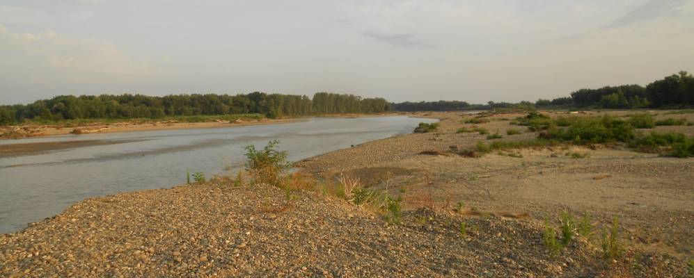 
            Фотография Высотного