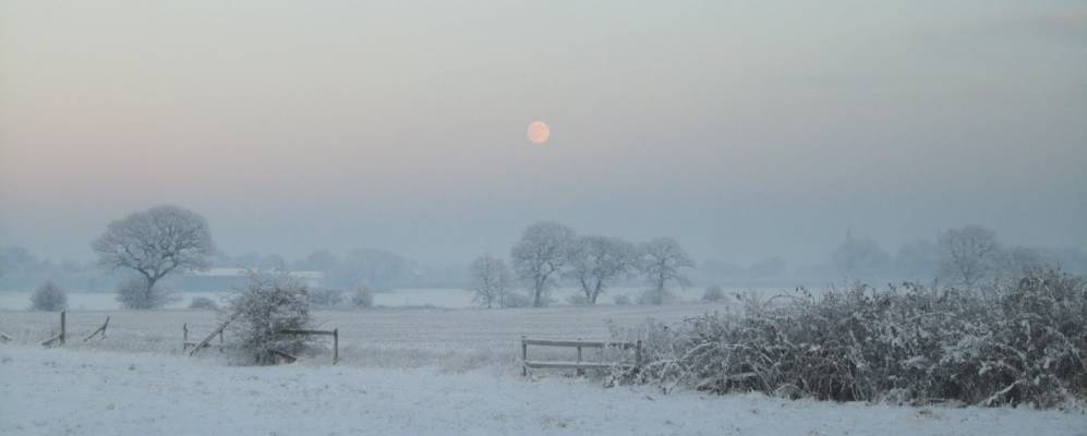 
            Фотография Калчета