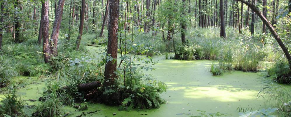 Фотография Княгинихи