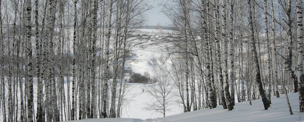 
            Фотография Новотроицкого