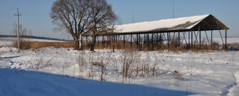 
            Фотография Грабника