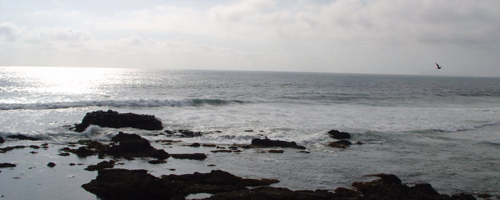 
            Фотография Росарито