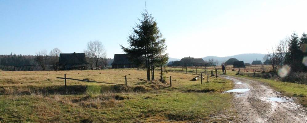 
            Фотография Беневой