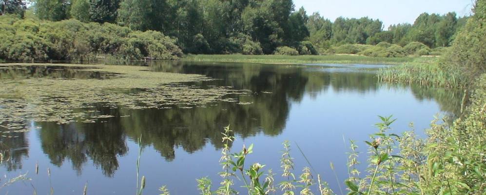 
            Фотография Сторино