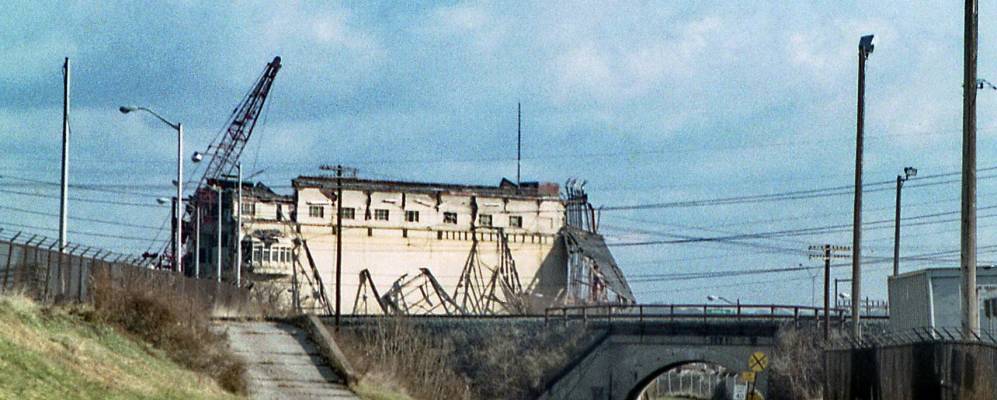 
            Фотография Морены