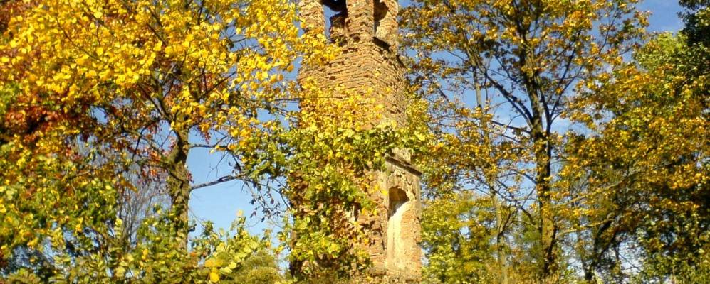 
            Фотография Бездежа