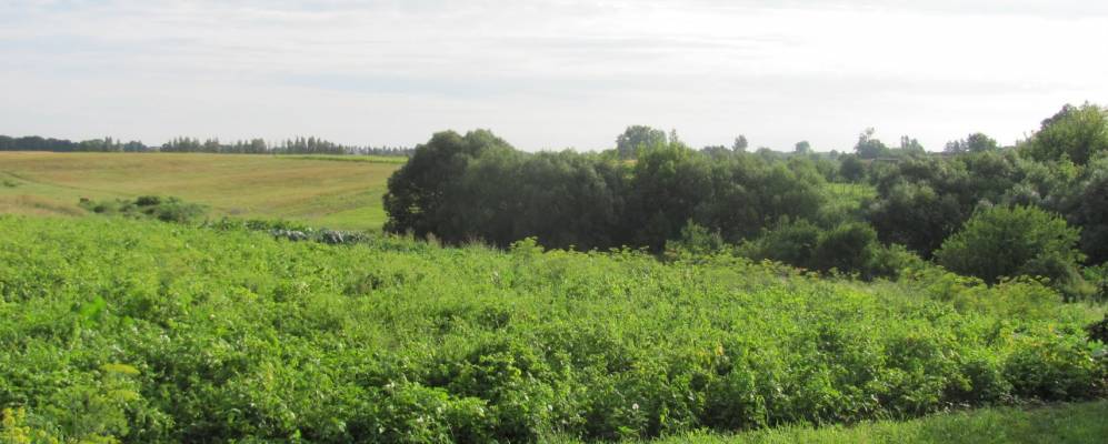 
            Фотография Новичей